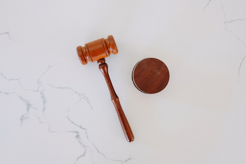 Court representation and legal advocacy in India